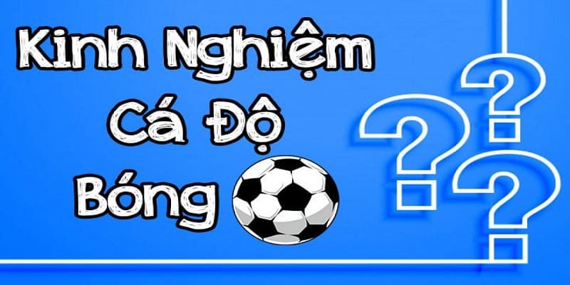 Kinh Nghiệm Cá Cược